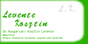 levente kosztin business card